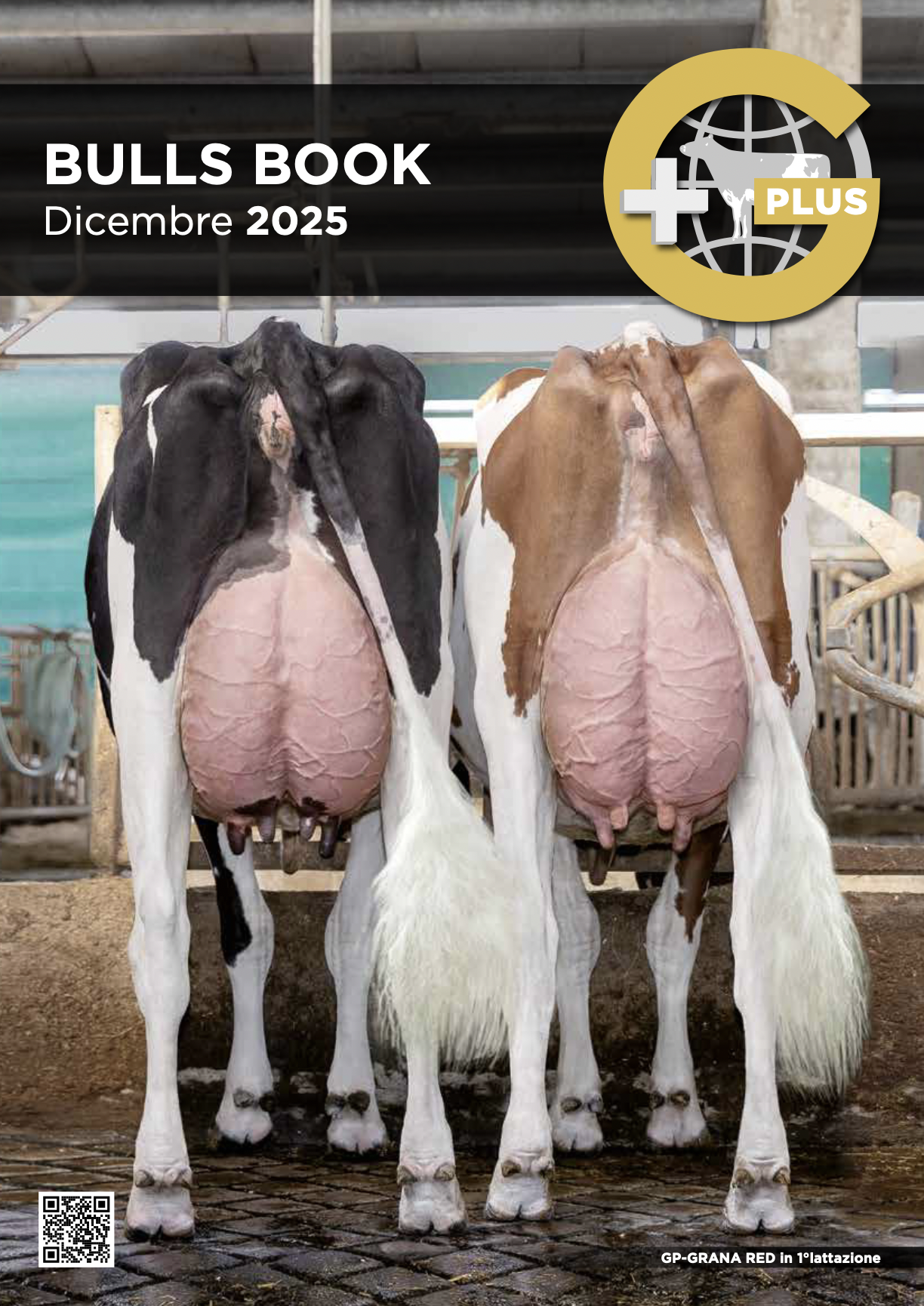Catalogo GPLUS - aggiornamento Dicembre 2025